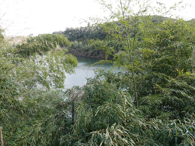 鳥取県道180号伯耆溝口停車場線からの眺望　緑水湖　法勝寺川