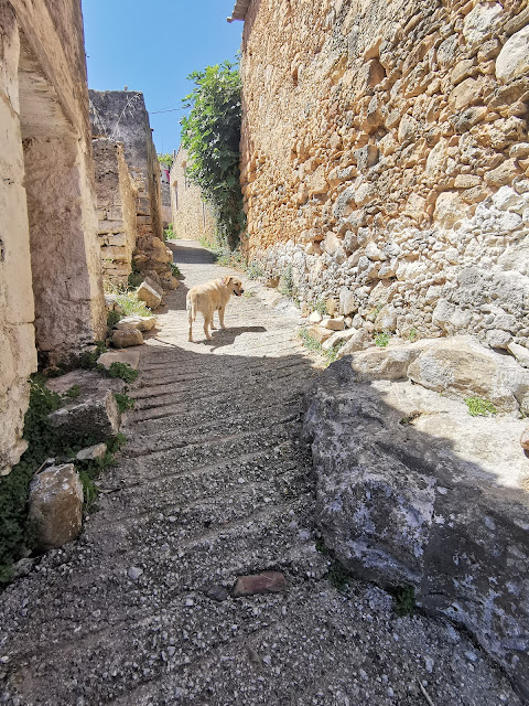 Kreta – górskie wioski regionu Rethymno