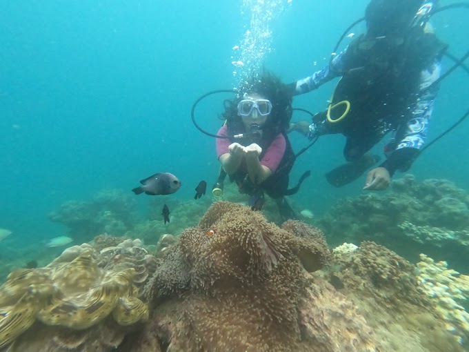 Experience The Best Scuba Diving in Andaman Islands