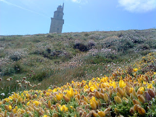 Flower and Tower   Sprint in Tower of Hercules (Corunna, Spain)   by E.V.Pita   http://evpita.blogspot.com/2011/05/flower-and-tower-flores-torre-de.html   Flores + Torre de Hércules  (Primavera en Torre de Hércules, A Coruña)  por E.V.Pita