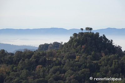 Camí a Sant Miquel de Sorerols