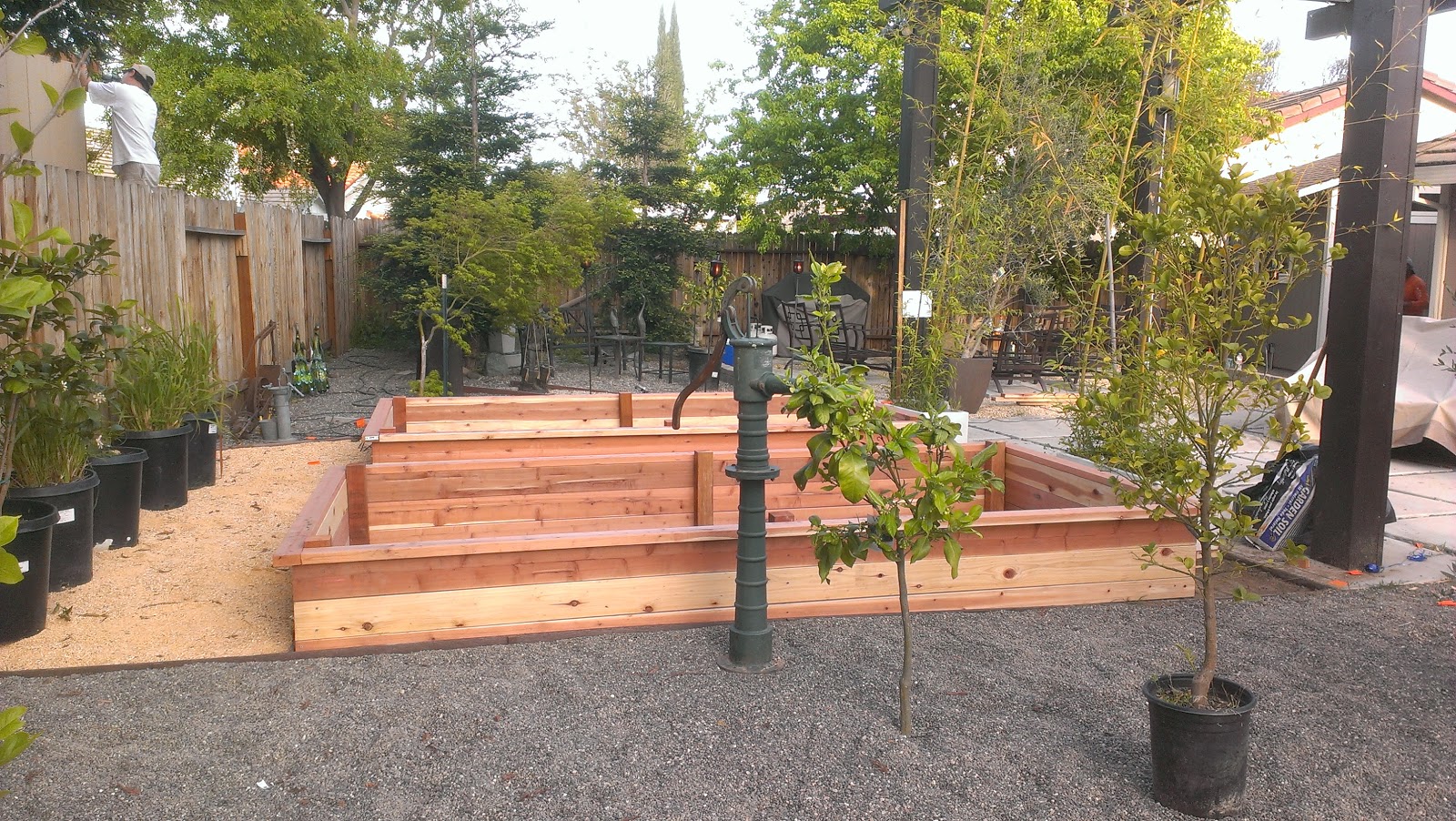 Planter Box for Vegetable Garden ~ Fawnbrook Project