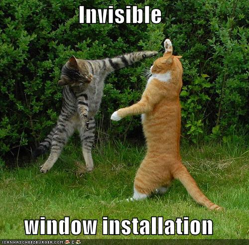 funny cat quotes. bushmaster acr wallpaper.