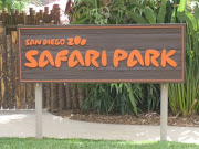 San Diego Safari Park (safari park )