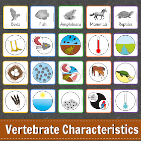 Animal Characteristics Learning Pack