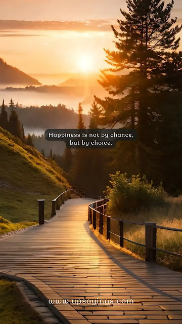 "Happiness is not by chance, but by choice."