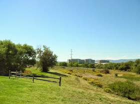 Living Design: From the Bay to the Mountains