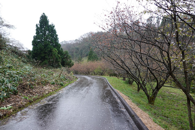 鳥取県西伯郡伯耆町小林 マウンテンストリームきしもと