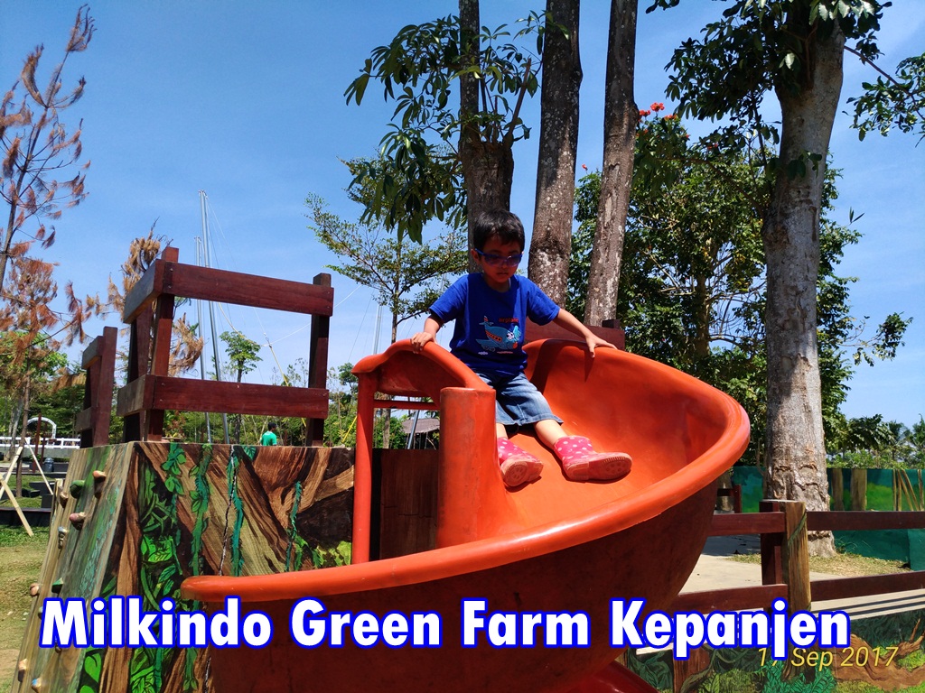 Milkindo Green Farm Wisata Edukasi Dan Petualangan Anak