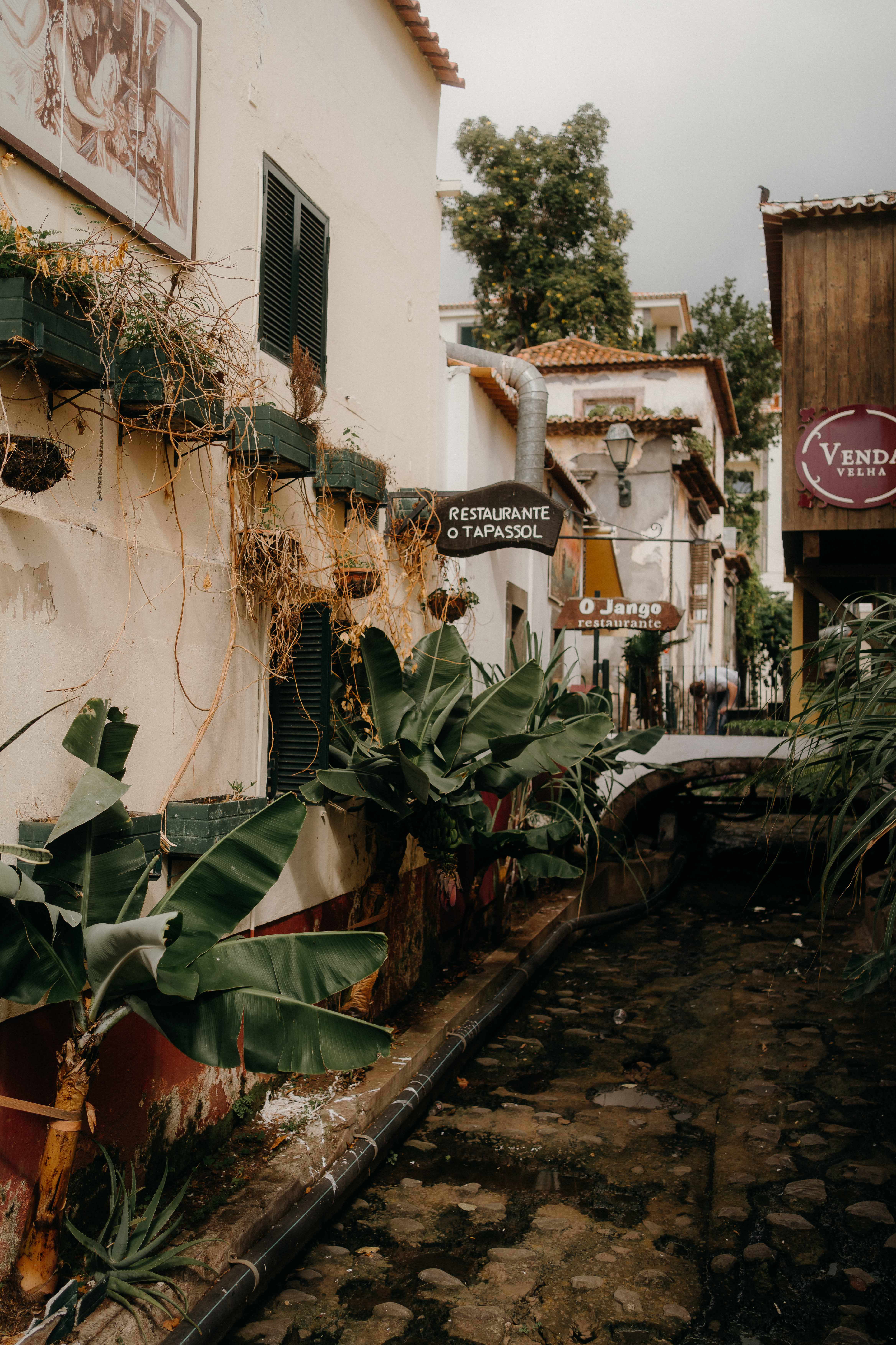 wandering around funchal madeira liquid grain