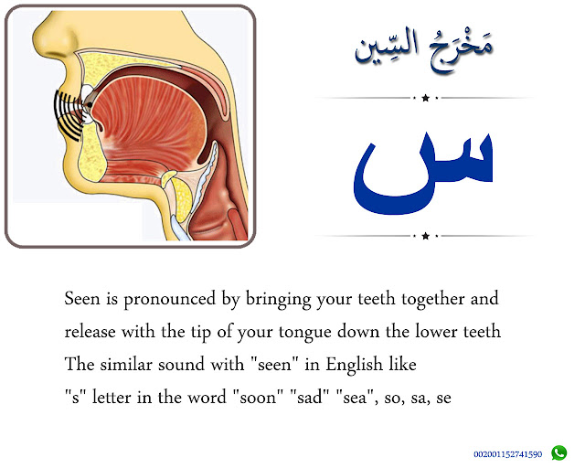 The Articulation Point of Seen