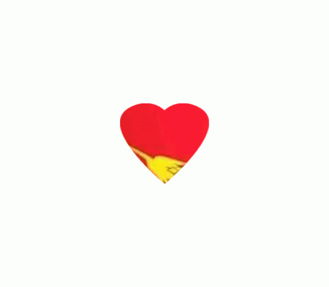 ♡♡♡♡ N. L.D ♡♡♡♡