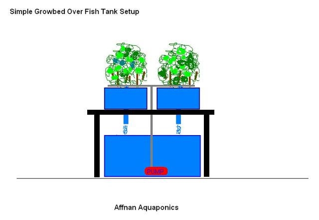 Affnan's Aquaponics: CRAFT