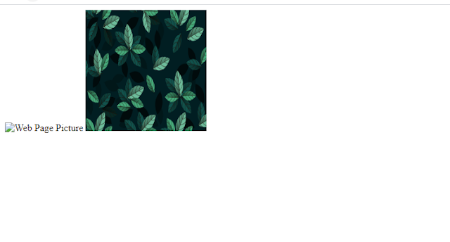 HTML alt Atribute Example