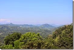 IMG_4837