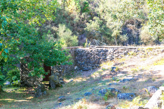 Imagen de los molinos de Maceira