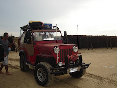 San carlos
