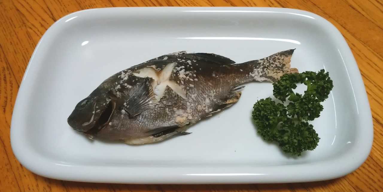 メジナの味 西伊豆 戸田湾での釣果
