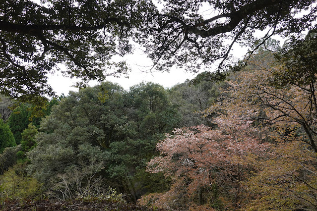 鳥取県西伯郡南部町鴨部 法勝寺城跡