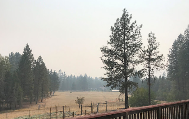 北カリフォルニアの山火事からの煙