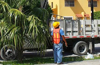 Mauricio Góngora moderniza el alumbrado público para los solidarenses