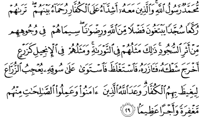 Surat Al-Fath Ayat 29