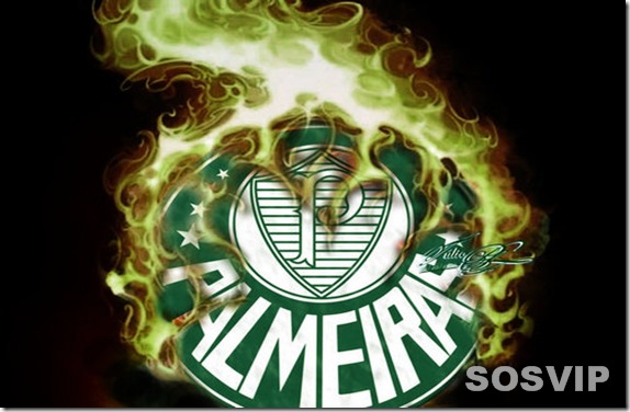 palmeiras_256532