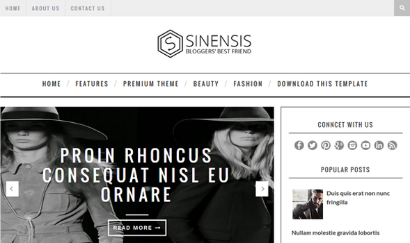 Sinensis-Attractive Blogger-Template