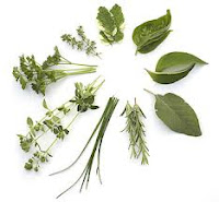 Some Effective Herbs for Respiratory Problems (Info About Alternative Medicine)