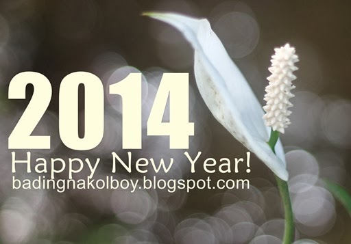 2014 BnK