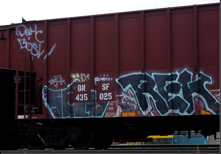 PIT_01449