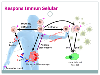 Respon Immun Selular