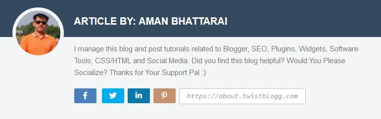professional multi-author box for blogger with social icons