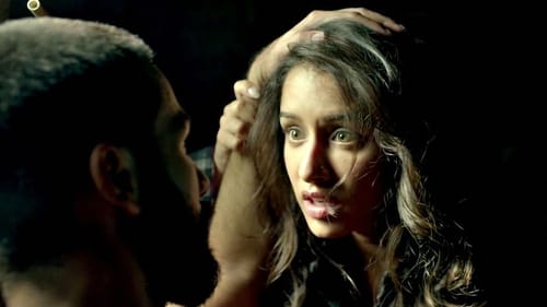 Haider 2014 bdrip