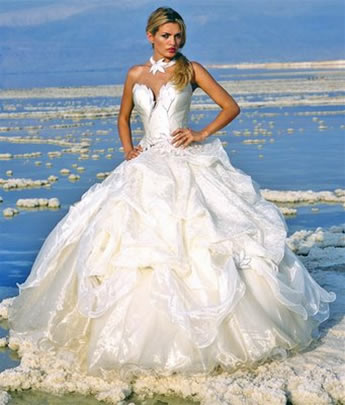 Buy Puffy Wedding Dresses