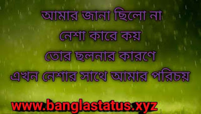 Vai Bon niye bangla status | Vai bon niye caption bangla |  ভাই বোনের কষ্টের স্ট্যাটাস  | ভাই বোনের স্ট্যাটাস পিক 8