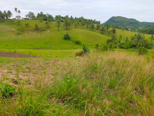 Residential/Farm Lot for Installment in Tabogon Cebu