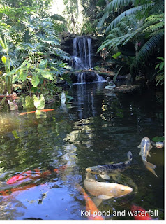 Koi pond and waterfall at the Shelby Gardens