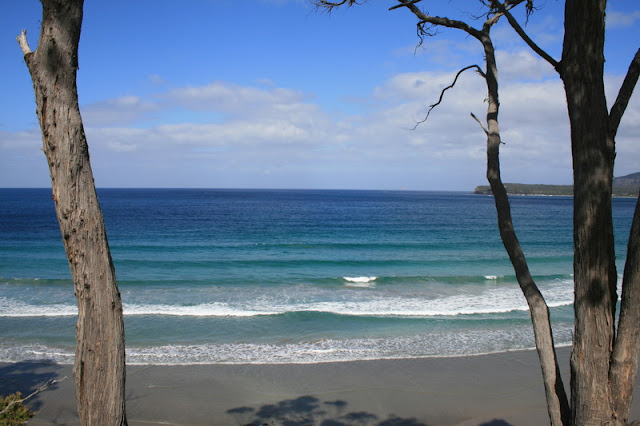 Coast Tasmania Australia - © CKoenig