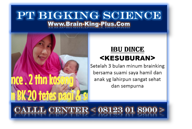 Brainking Plus 08123 01 8900