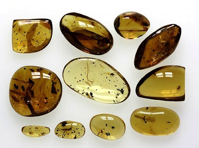 Pictures: Types of Amber 