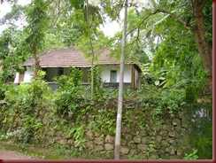 DSC00787