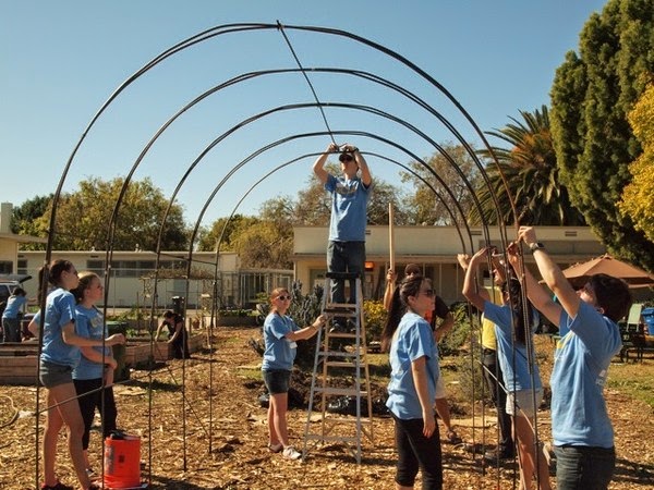 Adventures on Zephyr Hill Farm: DIY Rebar Grape Arbor