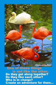 photo writing prompt, flamingos, elementary writing, creative writing