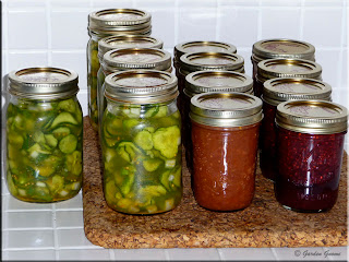 freezer pickles, plum sauce, chocolate raspberry sauce