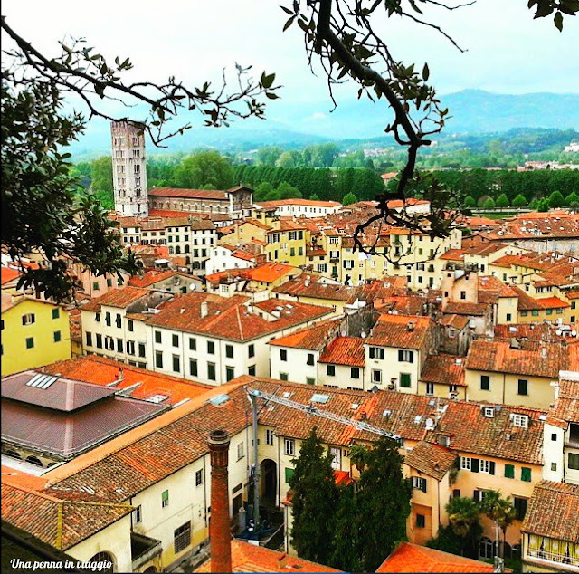 La torre guinigi di Lucca