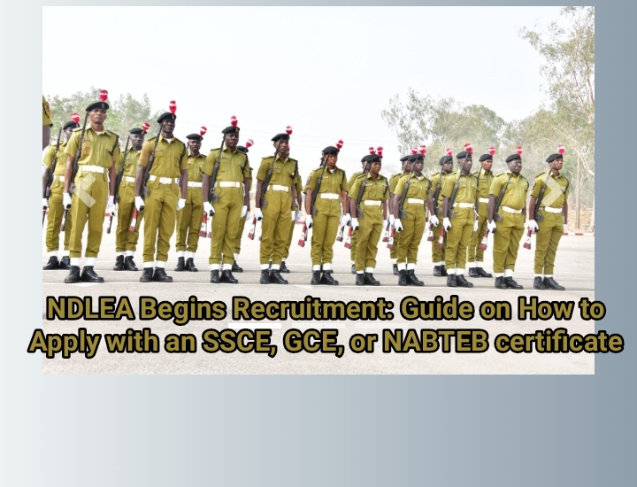 NDLEA Begins Recruitment: Guide on How to Apply with an SSCE, GCE, or NABTEB certificate