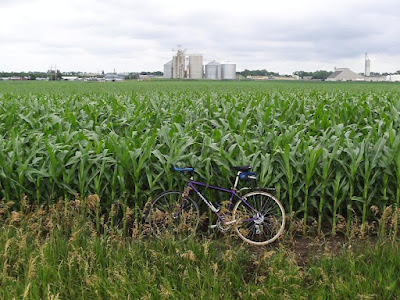 corn SW of Madison, SD, July 4