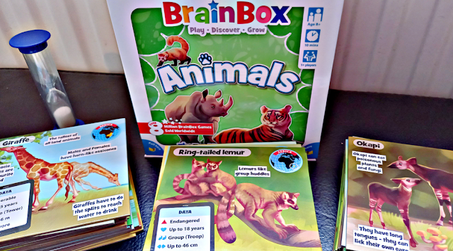 BrainBox Animals