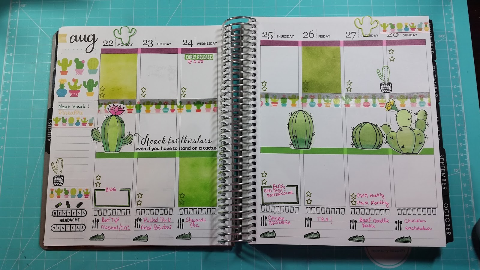 fawntastic creations ☆: plan with me - cactus - august